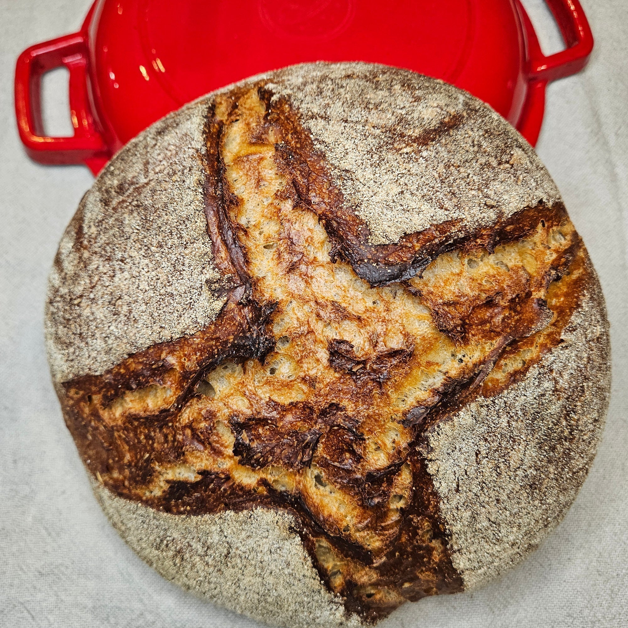 Sauerteig-Kümmelkruste nach Bauernart